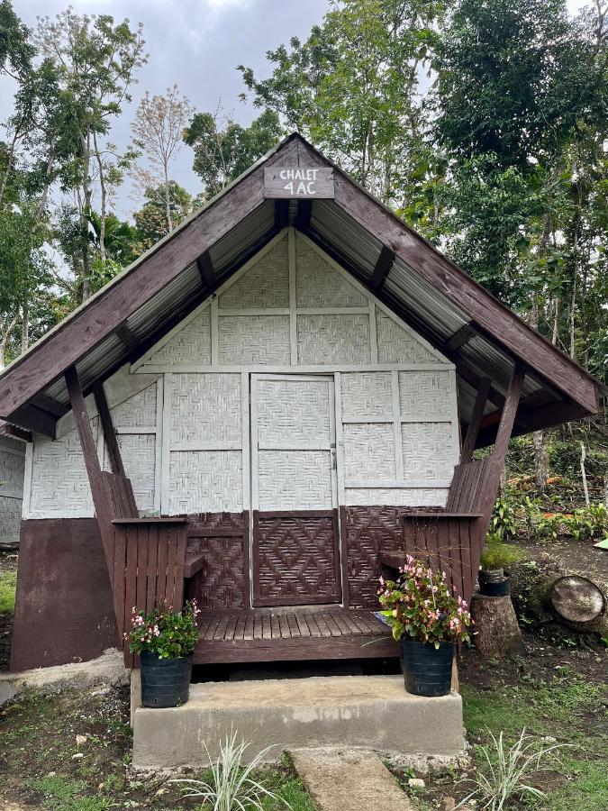 Roca'S Homestay Backpackers Chalet Batuan Екстериор снимка